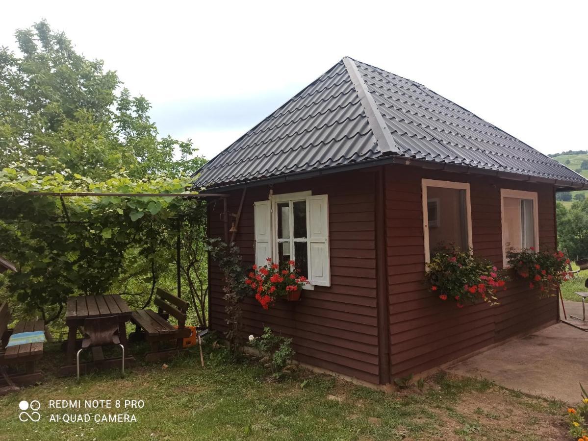 Guesthouse Blazenka Hodak Seliste Dreznicko Exterior photo