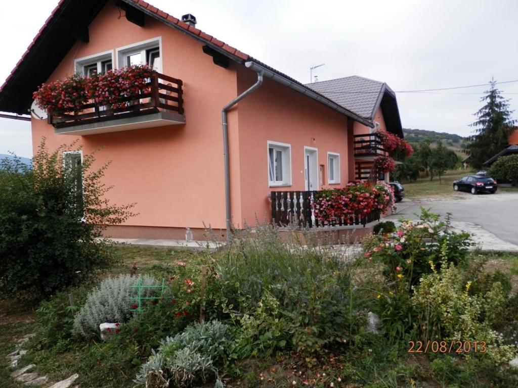 Guesthouse Blazenka Hodak Seliste Dreznicko Room photo