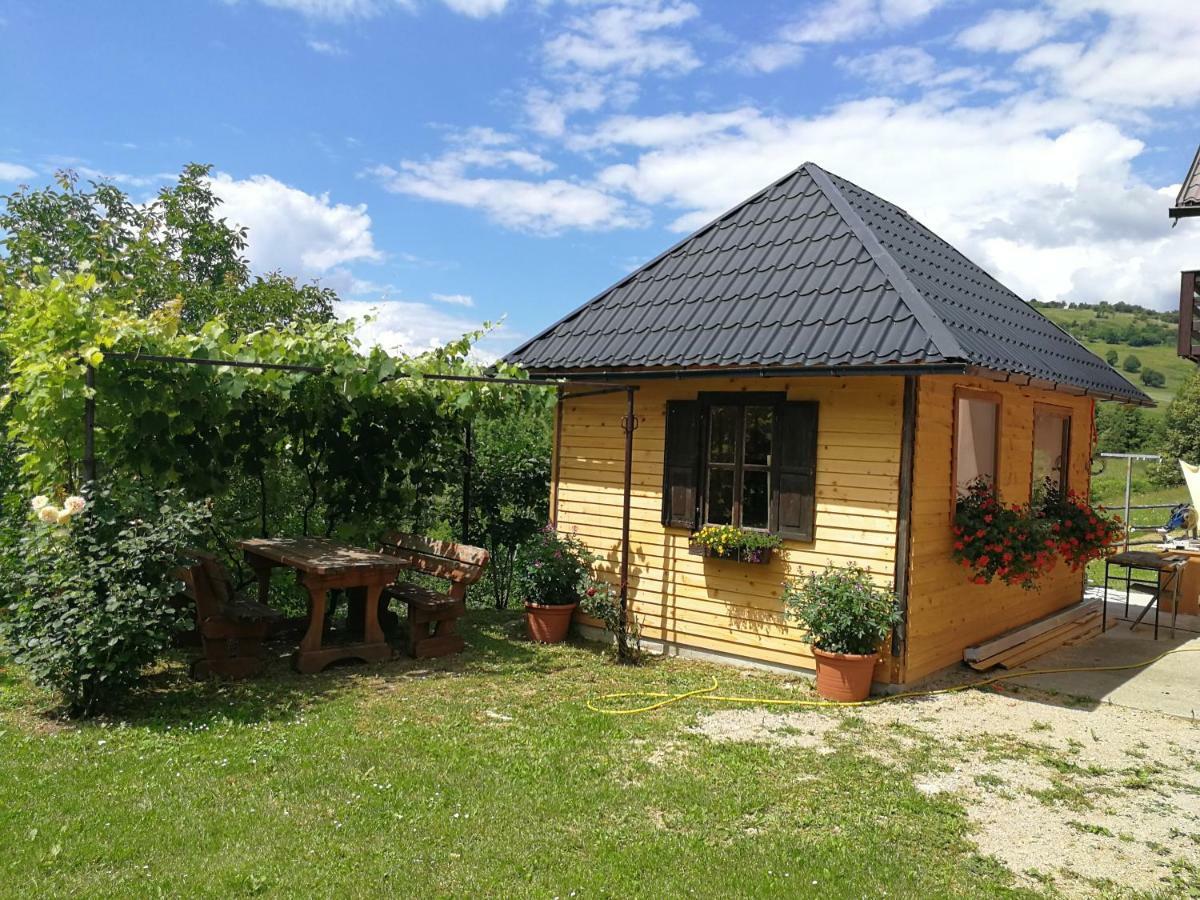 Guesthouse Blazenka Hodak Seliste Dreznicko Exterior photo