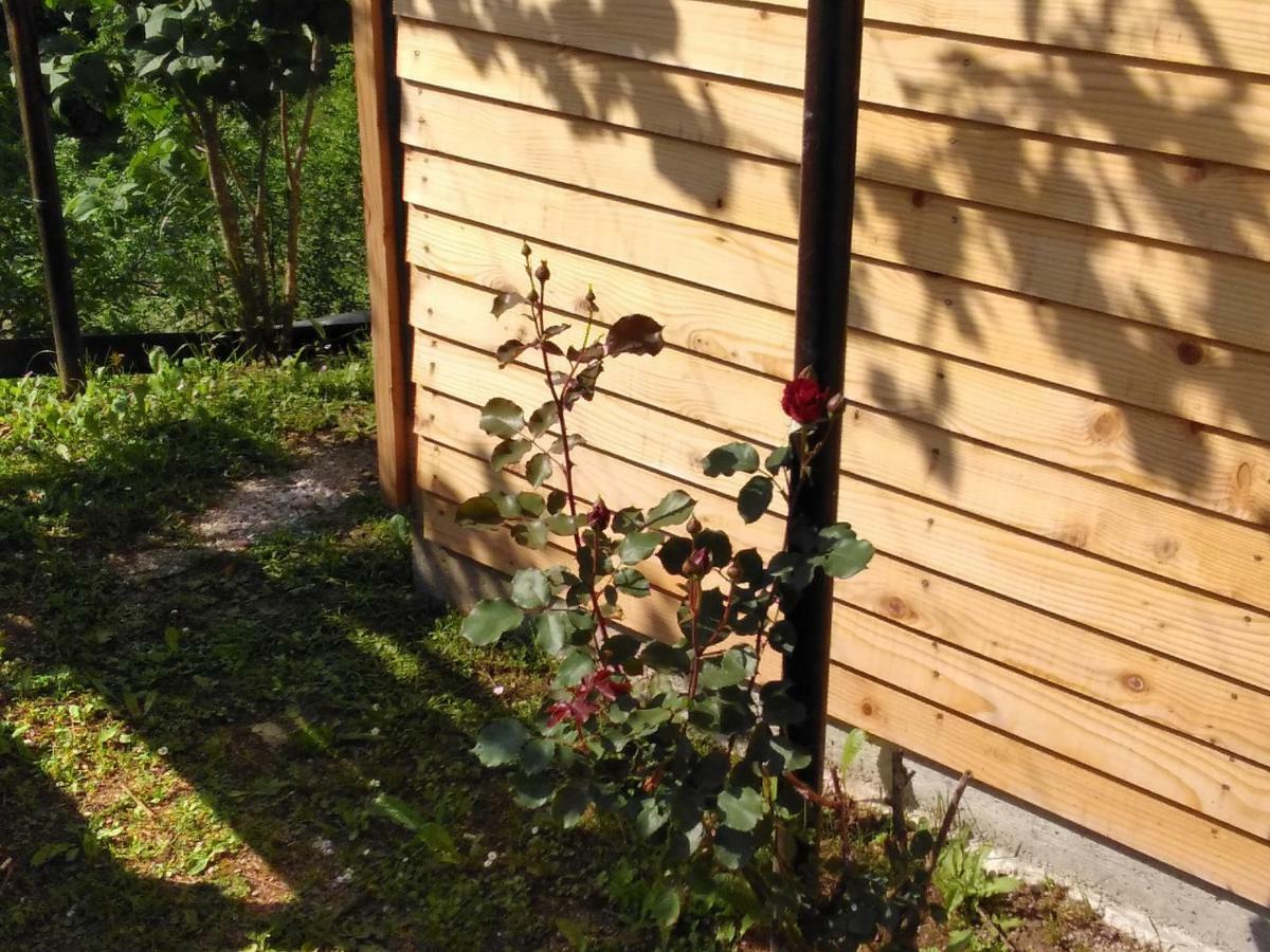 Guesthouse Blazenka Hodak Seliste Dreznicko Exterior photo