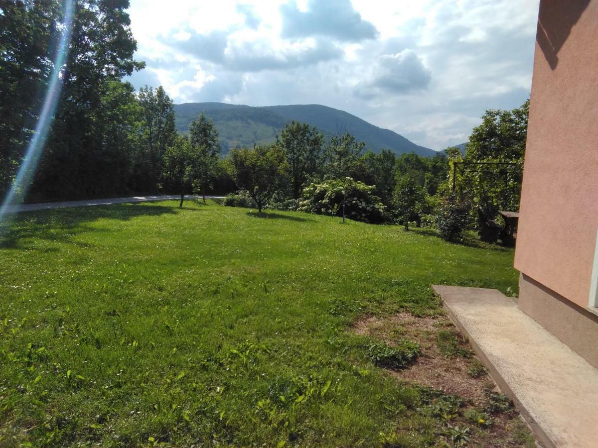 Guesthouse Blazenka Hodak Seliste Dreznicko Exterior photo