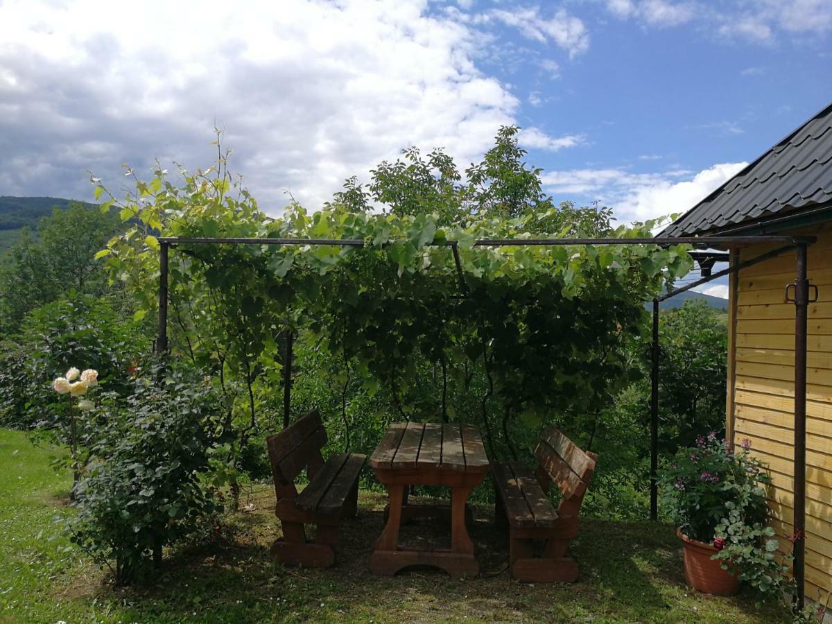 Guesthouse Blazenka Hodak Seliste Dreznicko Exterior photo