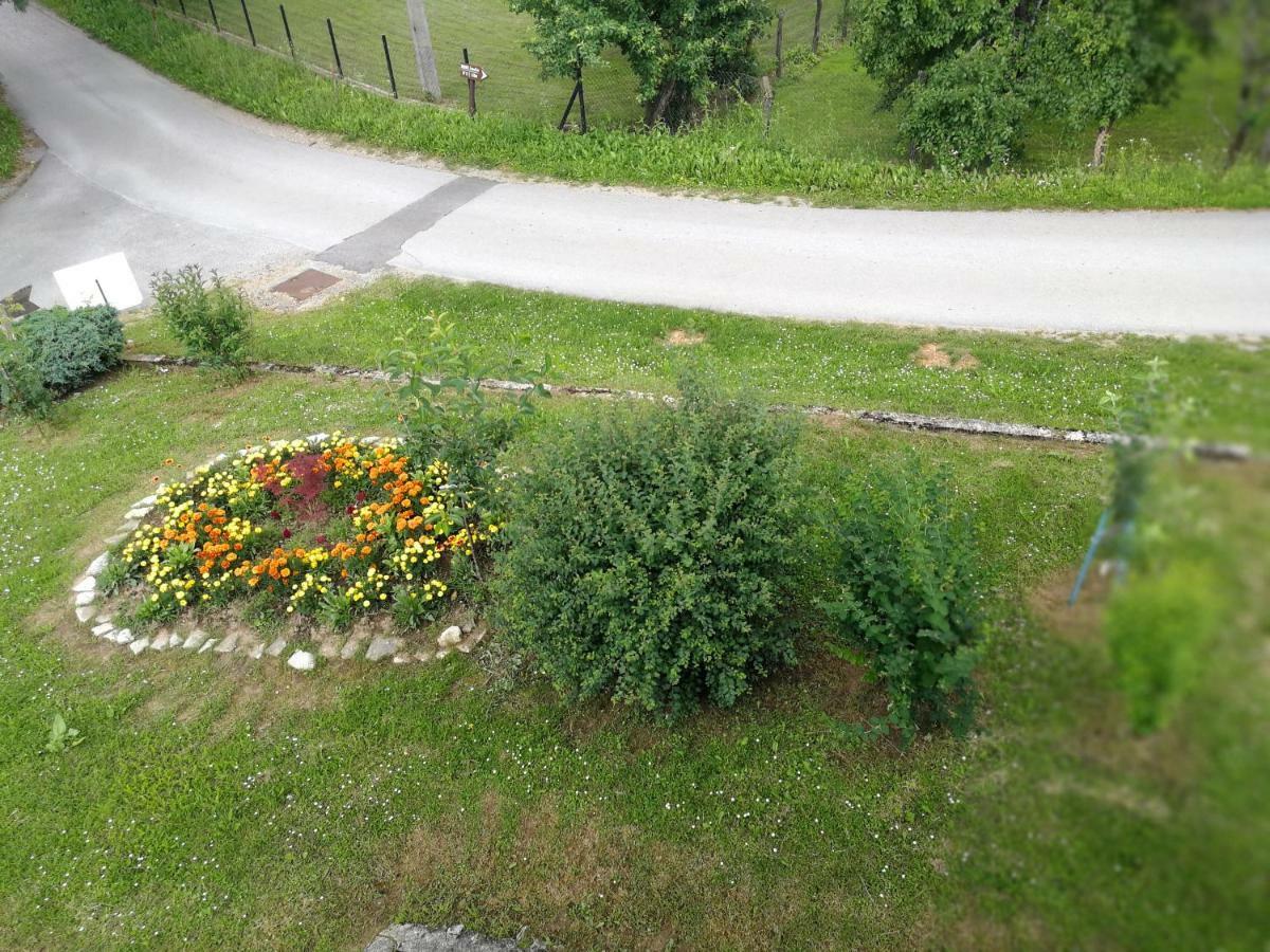 Guesthouse Blazenka Hodak Seliste Dreznicko Exterior photo