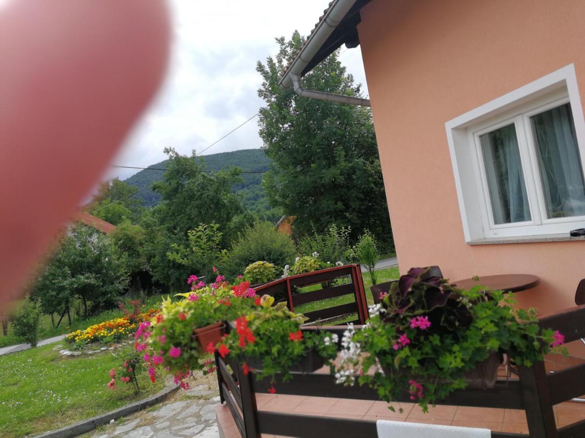 Guesthouse Blazenka Hodak Seliste Dreznicko Exterior photo